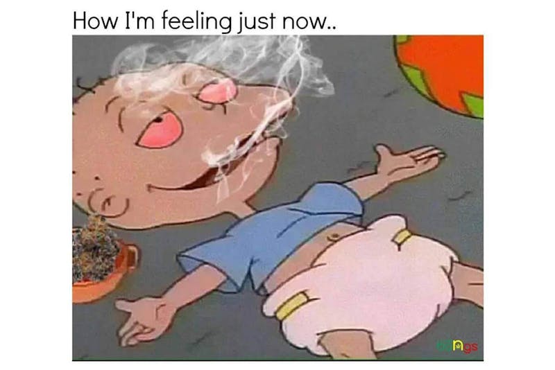 The 100 Best Weed Memes For True Herb Enthusiasts