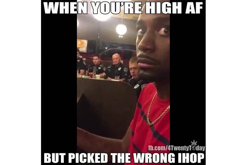 The 100 Best Weed Memes For True Herb Enthusiasts