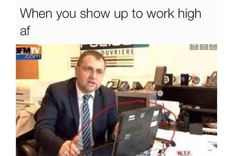 The 100 Best Weed Memes For True Herb Enthusiasts