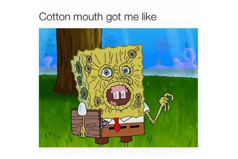 The 100 Best Weed Memes For True Herb Enthusiasts