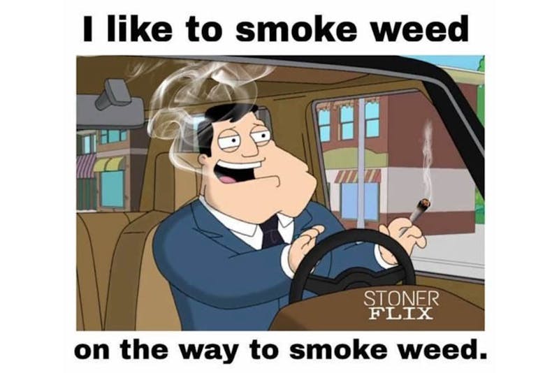 The 100 Best Weed Memes For True Herb Enthusiasts
