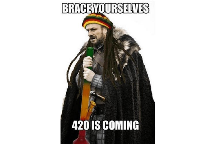The 100 Best Weed Memes For True Herb Enthusiasts41 The 100 Best Weed Memes For True Herb Enthusiasts