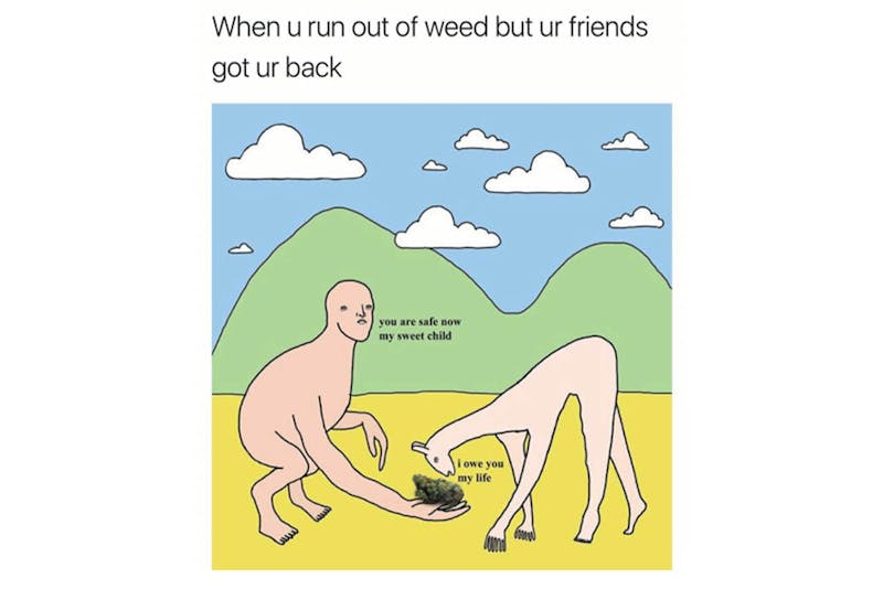 The 100 Best Weed Memes For True Herb Enthusiasts