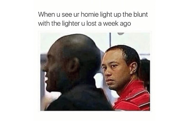 The 100 Best Weed Memes For True Herb Enthusiasts44 The 96 Best Weed Memes For True Herb Enthusiasts