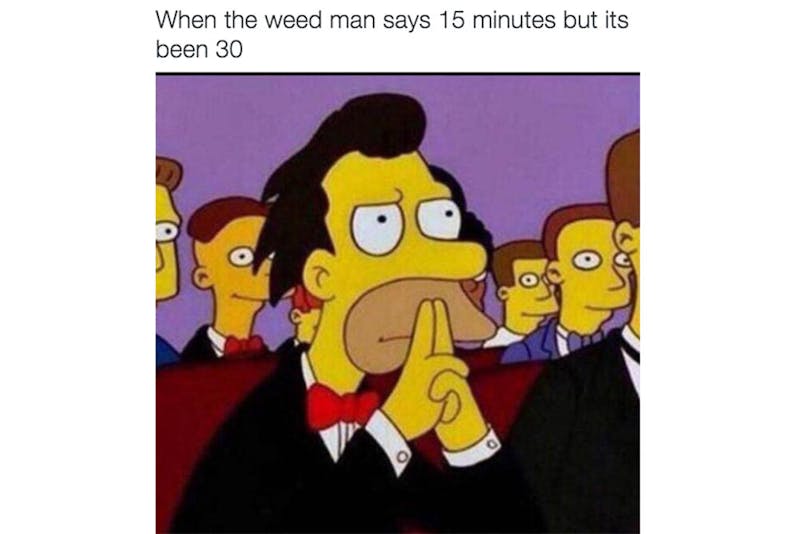 The 100 Best Weed Memes For True Herb Enthusiasts46 The 96 Best Weed Memes For True Herb Enthusiasts