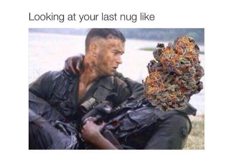 The 100 Best Weed Memes For True Herb Enthusiasts47 The 96 Best Weed Memes For True Herb Enthusiasts