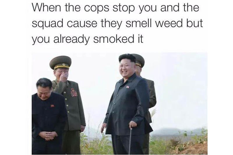 The 100 Best Weed Memes For True Herb Enthusiasts48 The 96 Best Weed Memes For True Herb Enthusiasts