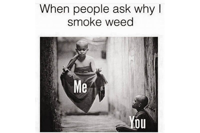 The 100 Best Weed Memes For True Herb Enthusiasts49 The 96 Best Weed Memes For True Herb Enthusiasts