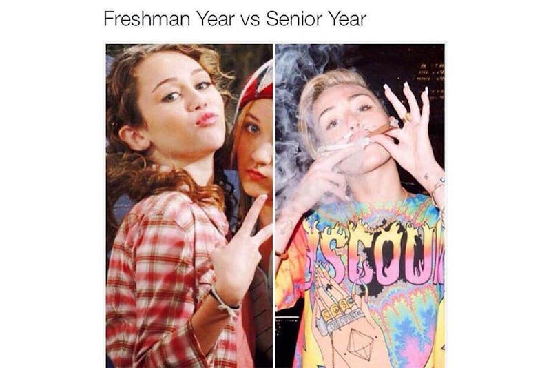 The 100 Best Weed Memes For True Herb Enthusiasts50 The 96 Best Weed Memes For True Herb Enthusiasts