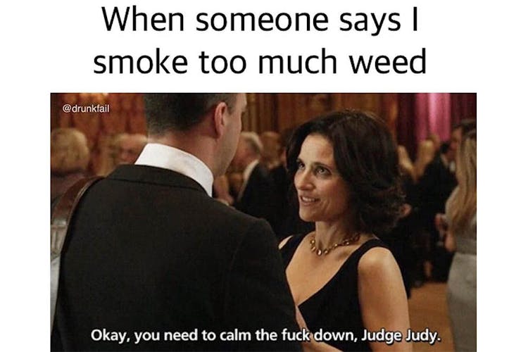 The 100 Best Weed Memes For True Herb Enthusiasts51 The 100 Best Weed Memes For True Herb Enthusiasts