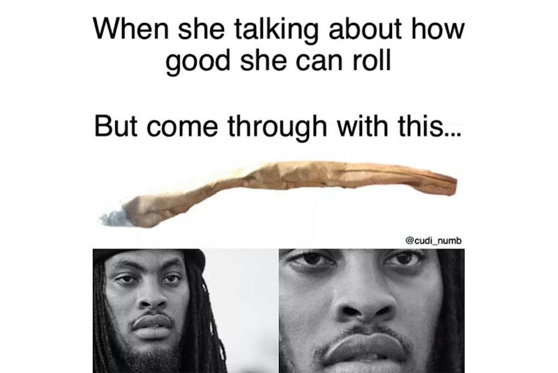 The 100 Best Weed Memes For True Herb Enthusiasts511 The 96 Best Weed Memes For True Herb Enthusiasts