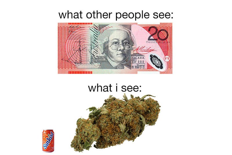 The 100 Best Weed Memes For True Herb Enthusiasts52 The 96 Best Weed Memes For True Herb Enthusiasts