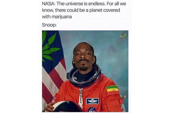 dankest fortnite memes - the 100 best weed memes for true herb enthusiasts57 the 96 best weed memes for true the 100 best weed memes for true herb enthusiasts57 the 96 best weed memes for true - dankest fortnite memes