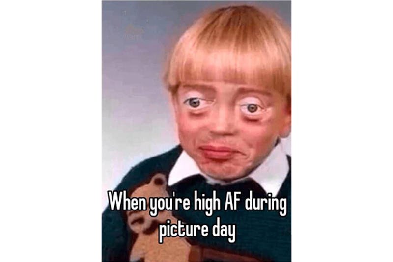 The 100 Best Weed Memes For True Herb Enthusiasts