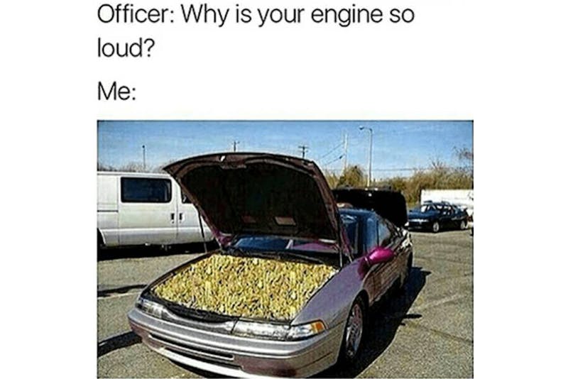 The 100 Best Weed Memes For True Herb Enthusiasts59 The 96 Best Weed Memes For True Herb Enthusiasts