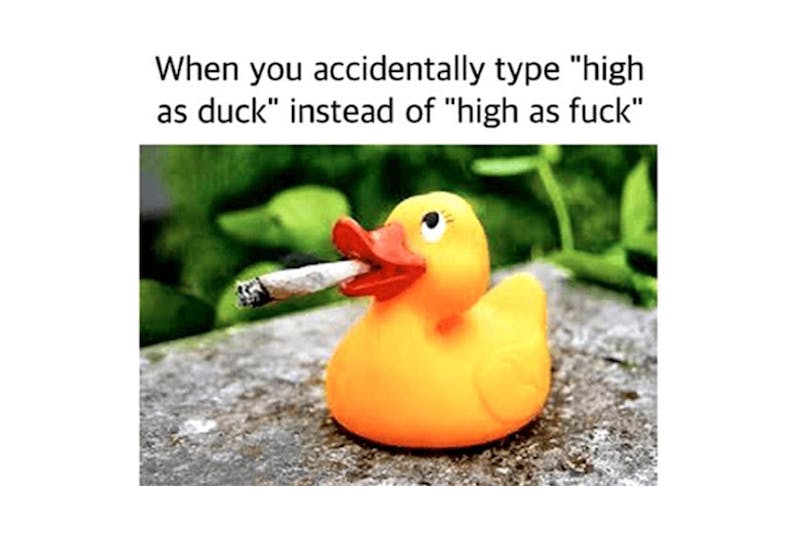 The 100 Best Weed Memes For True Herb Enthusiasts