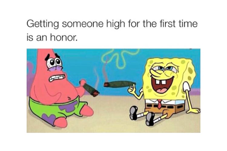 The 100 Best Weed Memes For True Herb Enthusiasts