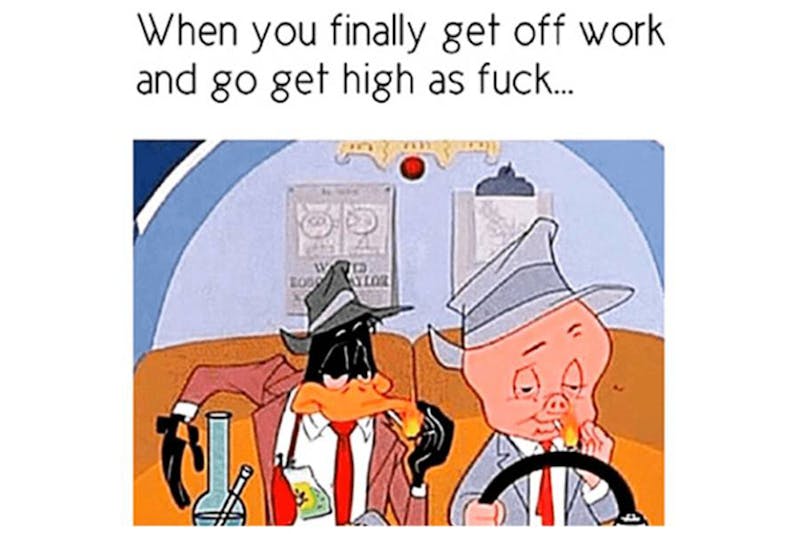 The 100 Best Weed Memes For True Herb Enthusiasts