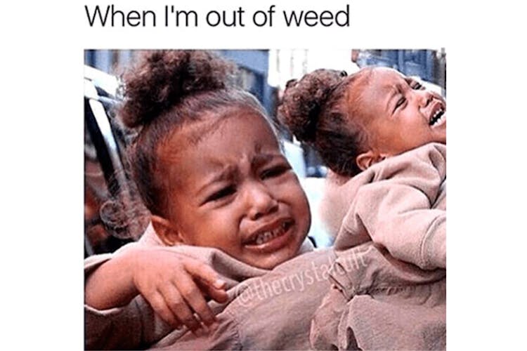 The 100 Best Weed Memes For True Herb Enthusiasts63 The 100 Best Weed Memes For True Herb Enthusiasts