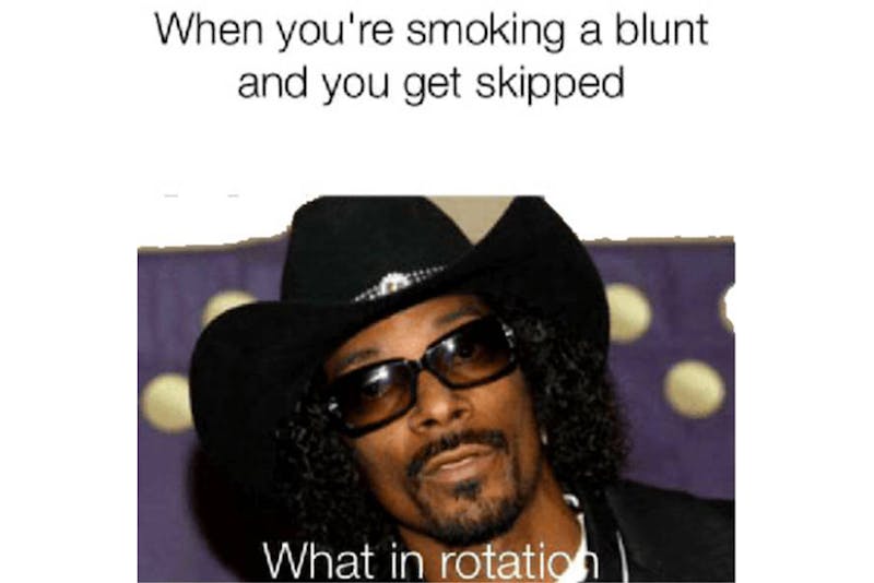 The 100 Best Weed Memes For True Herb Enthusiasts