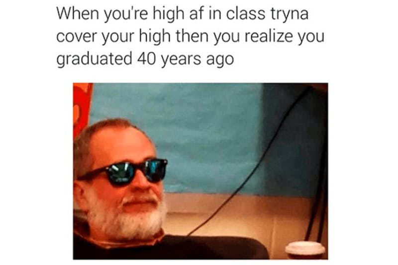 The 100 Best Weed Memes For True Herb Enthusiasts