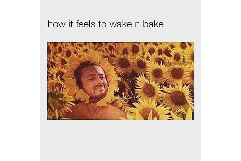 100 best weed memes