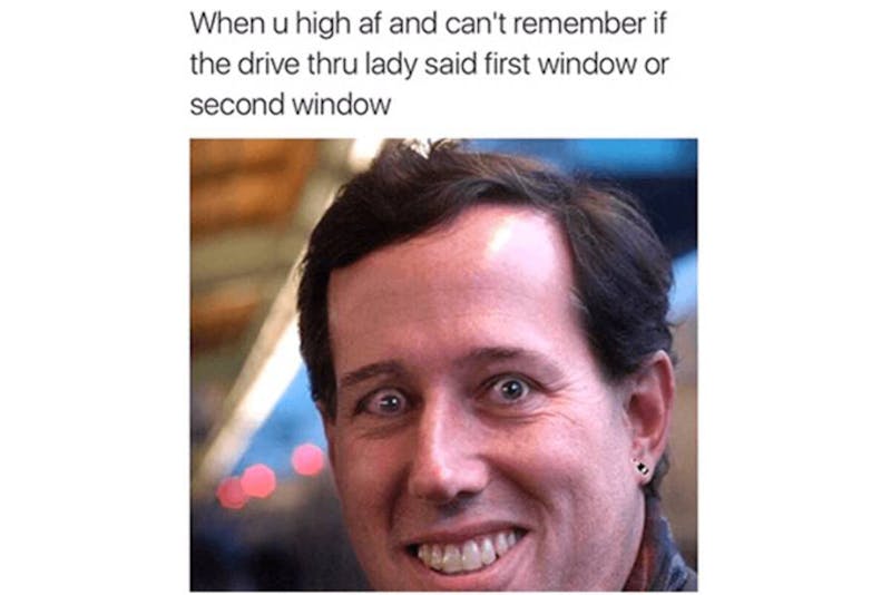 The 100 Best Weed Memes For True Herb Enthusiasts