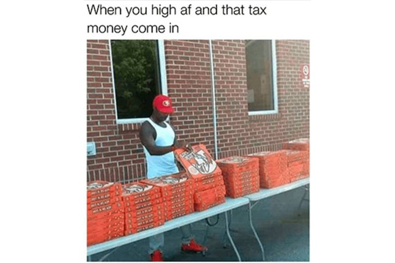The 100 Best Weed Memes For True Herb Enthusiasts