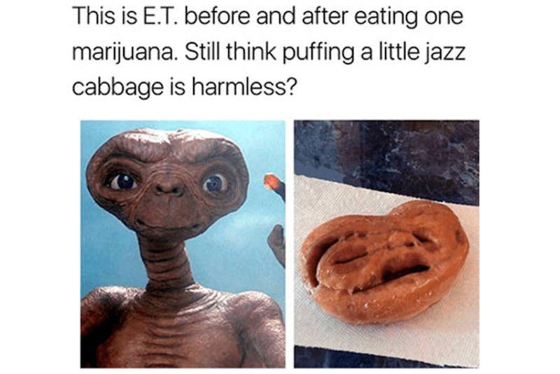 The 100 Best Weed Memes For True Herb Enthusiasts