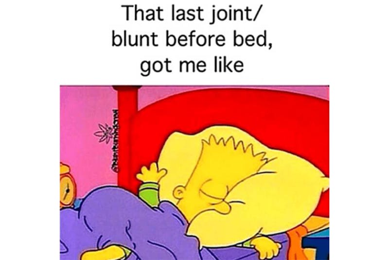 The 100 Best Weed Memes For True Herb Enthusiasts