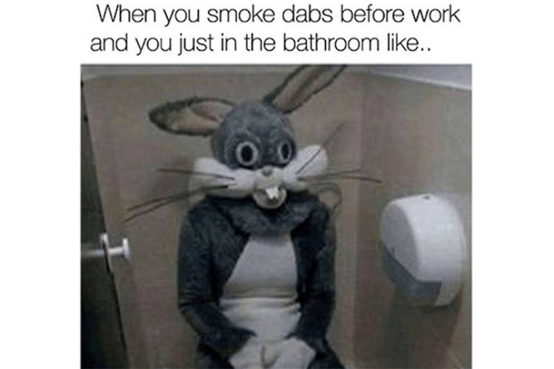 The 100 Best Weed Memes For True Herb Enthusiasts
