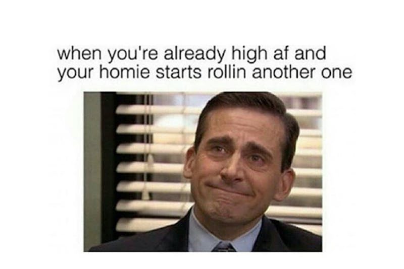 100 best weed memes