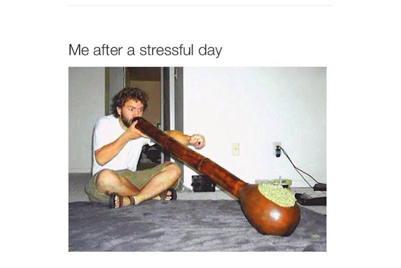 100 best weed memes