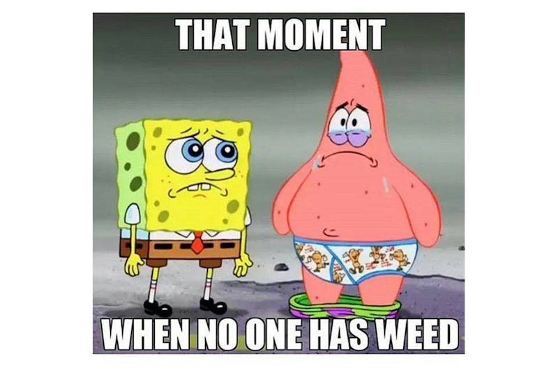100 best weed memes