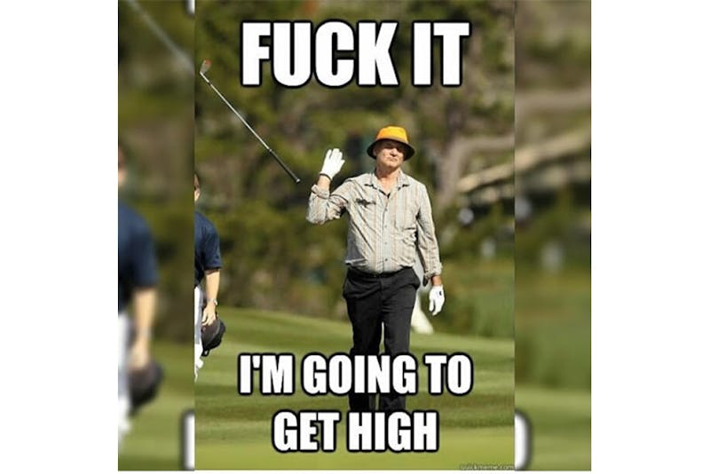 The 100 Best Weed Memes For True Herb Enthusiasts