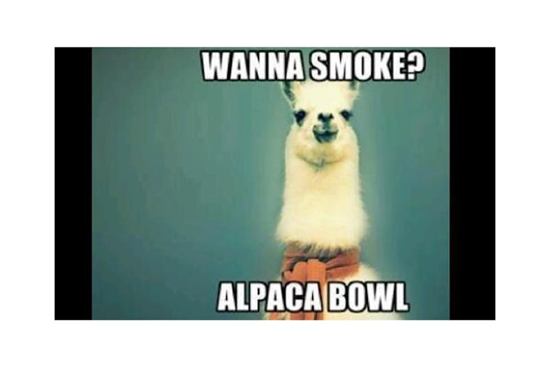 100 best weed memes