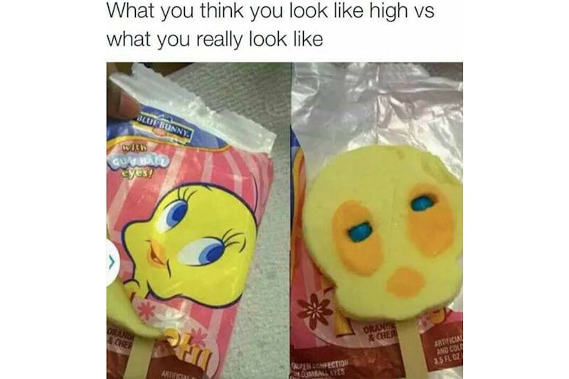 100 best weed memes