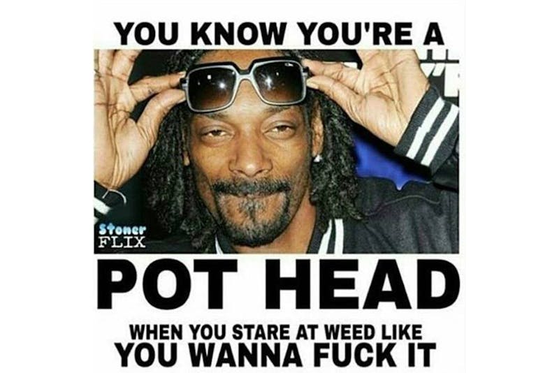 100 best weed memes