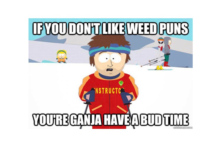 100 best weed memes