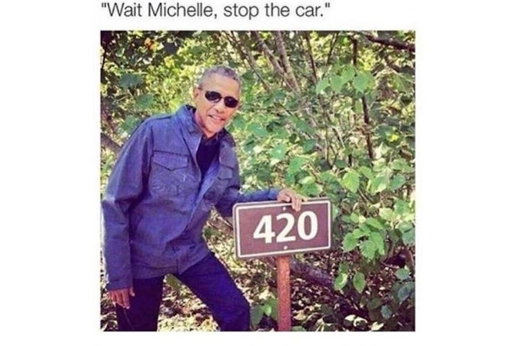 100 best weed memes