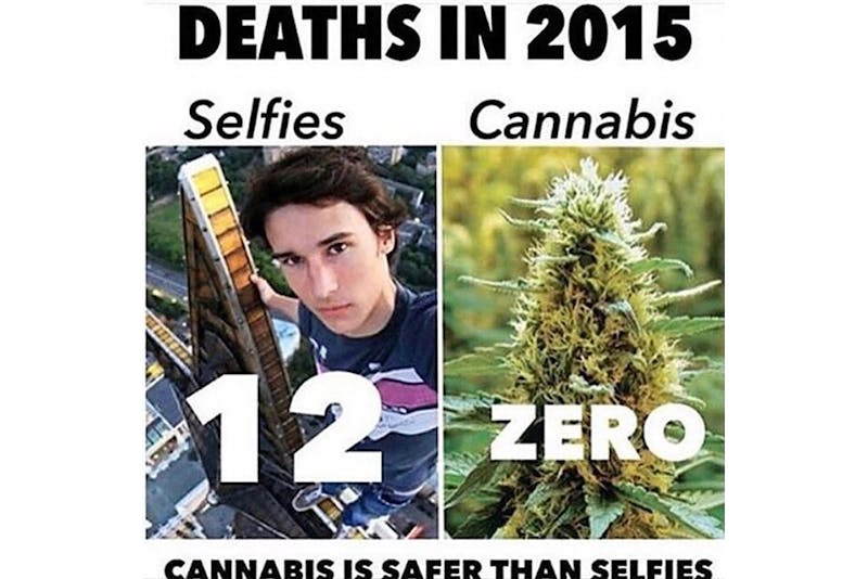 100 best weed memes