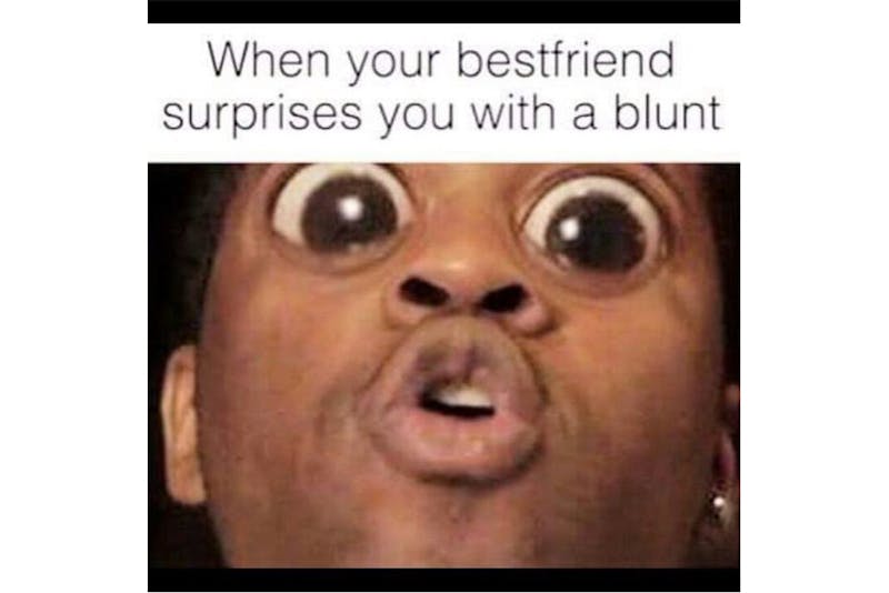 100 best weed memes