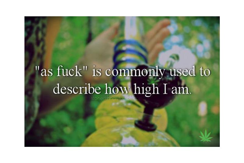 The 100 Best Weed Memes For True Herb Enthusiasts