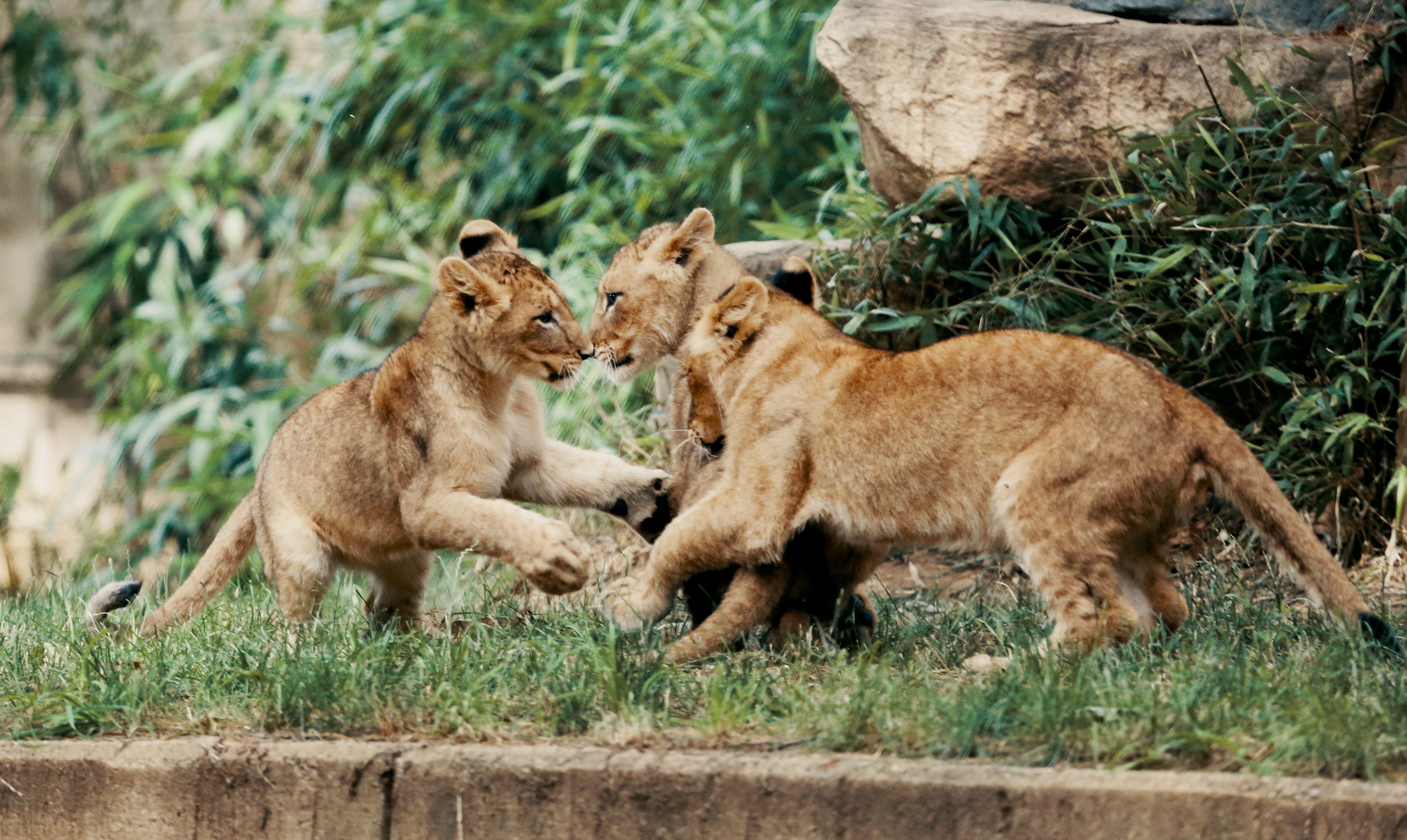 The Best Smoke Spots on Earth for Explorers Who Love Weed 2 Top Smoking Spots Every Traveler Must Try