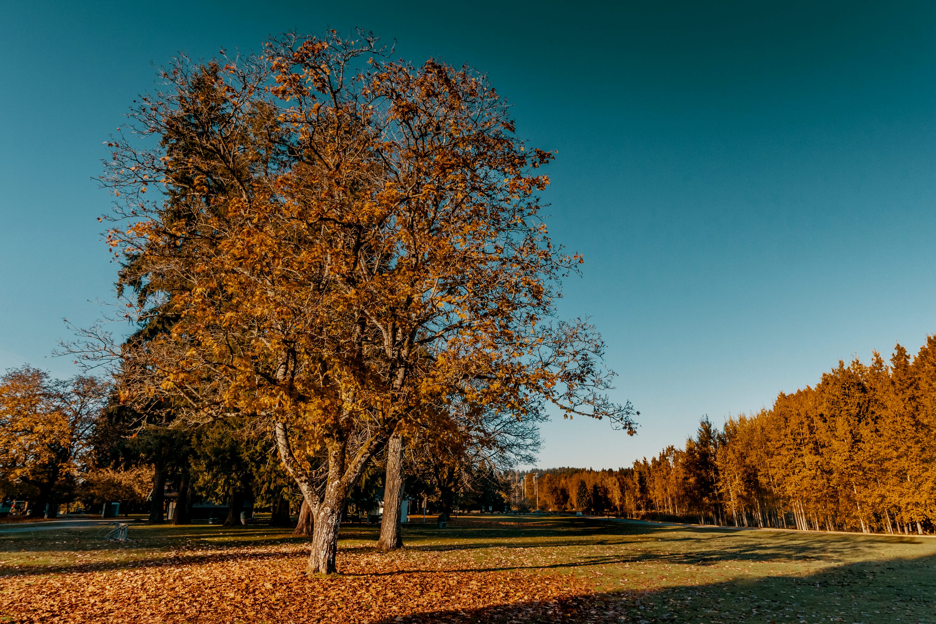 The Best Smoke Spots on Earth for Explorers Who Love Weed 4 Top Smoking Spots Every Traveler Must Try