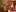 The Best Weed Quotes by Famous People Throughout History8 The Best Weed Quotes by Famous People Throughout History