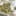 Watch Curreny Show Off His New Weed Strain Andretti OG1 Watch Curren$y Show Off His New Weed Strain Andretti OG