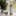 What is the Best Homemade Bug Spray for Weed Plants 1 What is the Best Homemade Bug Spray for Weed Plants?