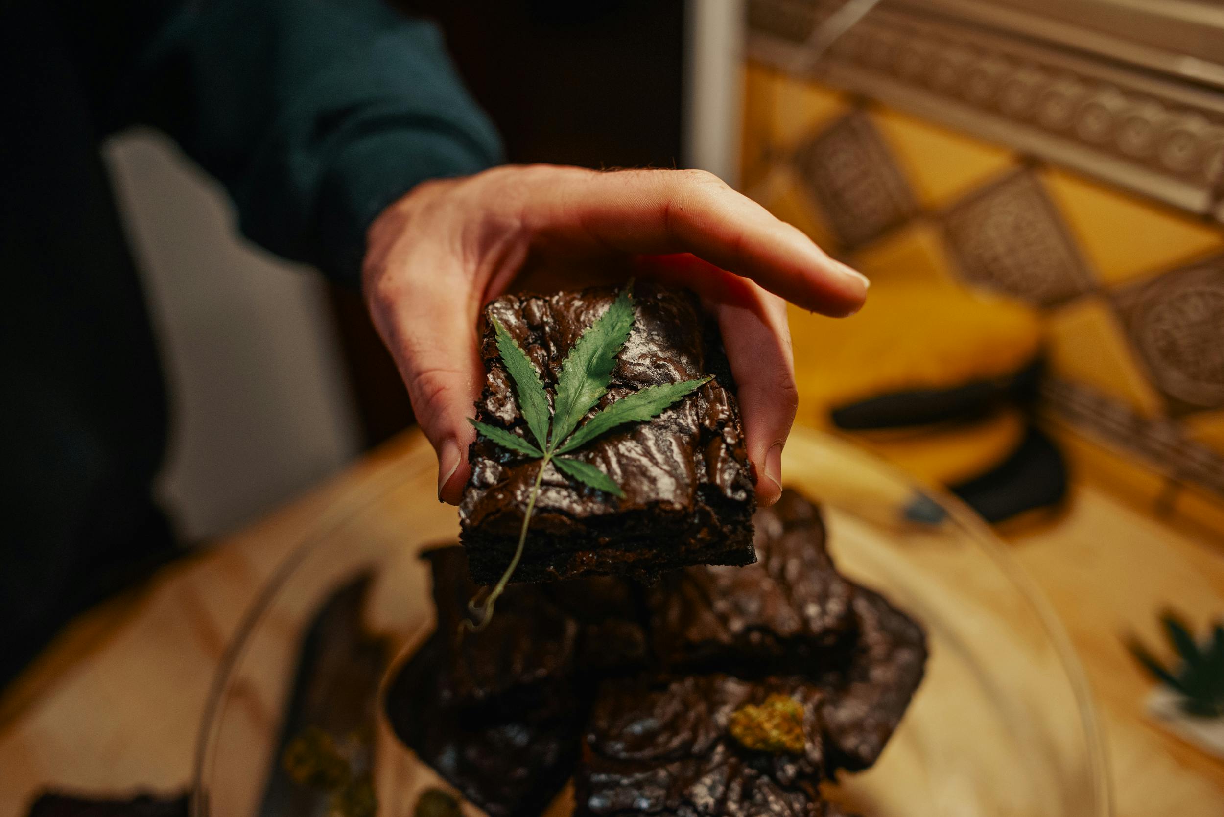 Best Weed Brownies 5 These Are The Best Weed Brownies For When You Cant Make Your Own