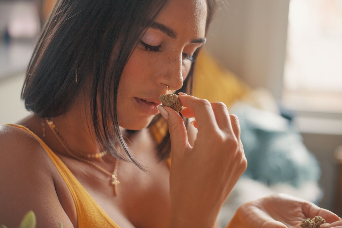 What is the Entourage Effect: A woman holds a nug of cannabis to her nose to smell it